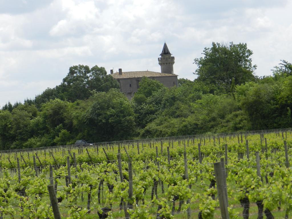 Le Grand Chemin De La Vie Bed & Breakfast Montcaret Room photo