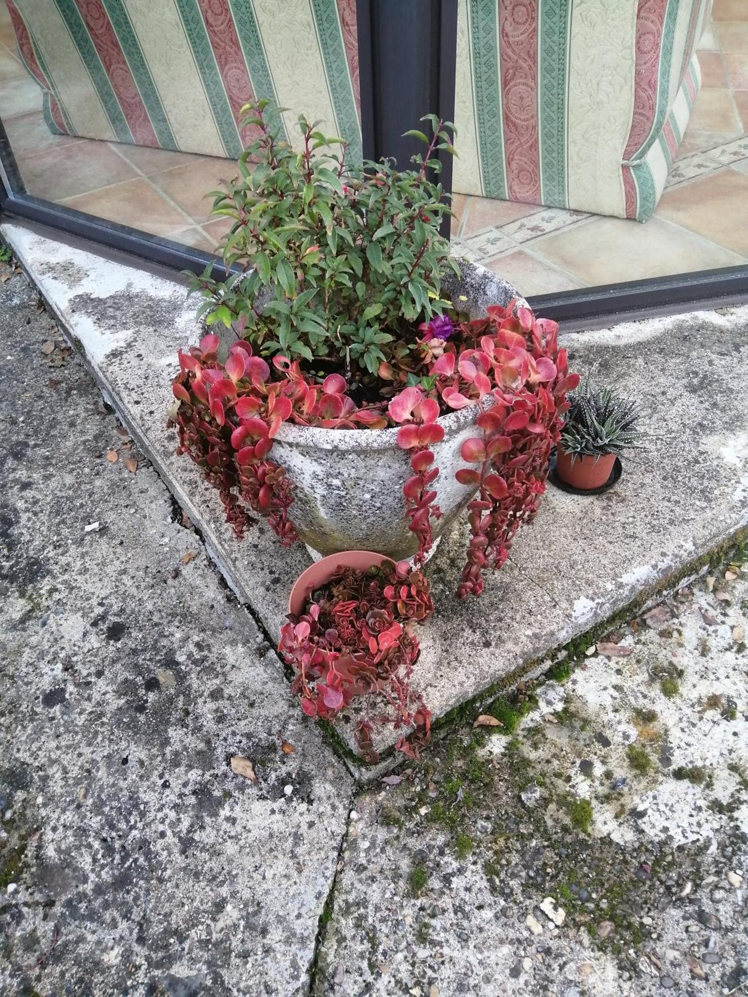 Le Grand Chemin De La Vie Bed & Breakfast Montcaret Exterior photo