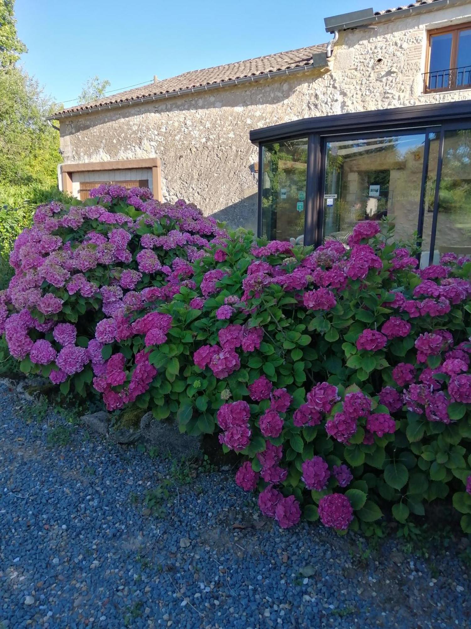 Le Grand Chemin De La Vie Bed & Breakfast Montcaret Exterior photo