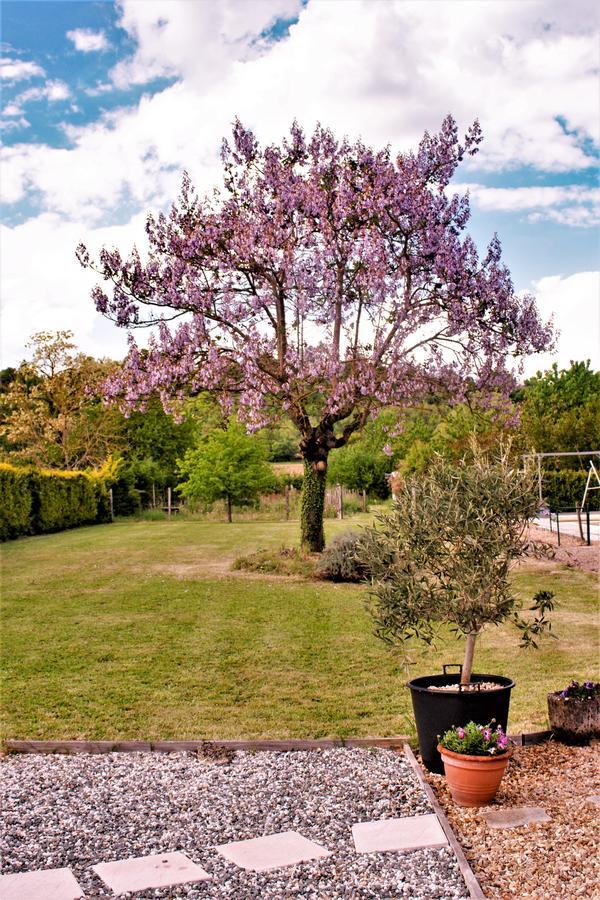 Le Grand Chemin De La Vie Bed & Breakfast Montcaret Exterior photo